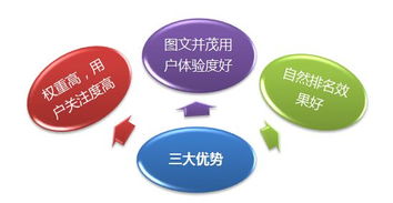 承德网站网络推广新篇章 专业网络科技服务助力企业腾飞